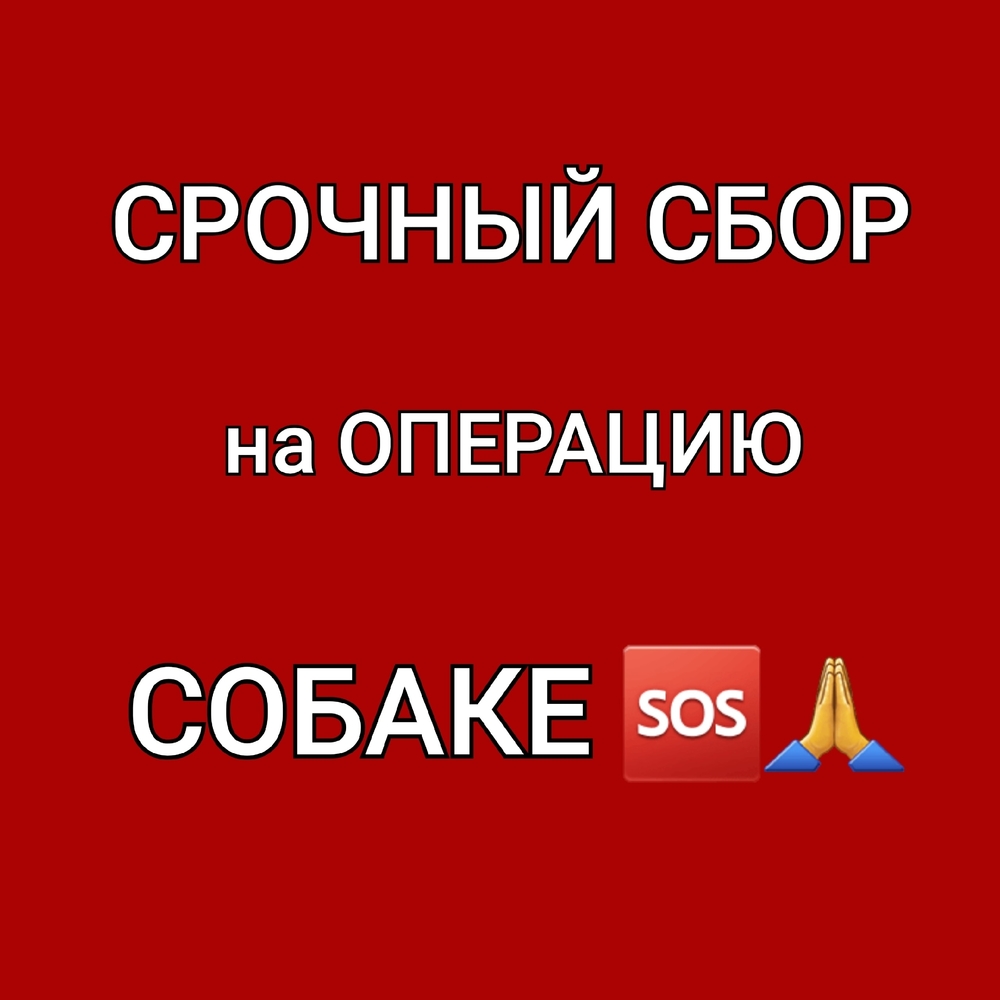jaKToqd9RyQq6GsLFvDwtx3MBKeAmg4XGmN_P9ro