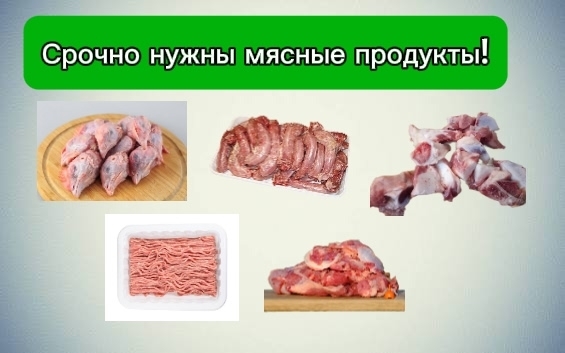 Ql0hd0tHctVtpWqbJ0jV7tD19bARQRbKtaLHWPoL