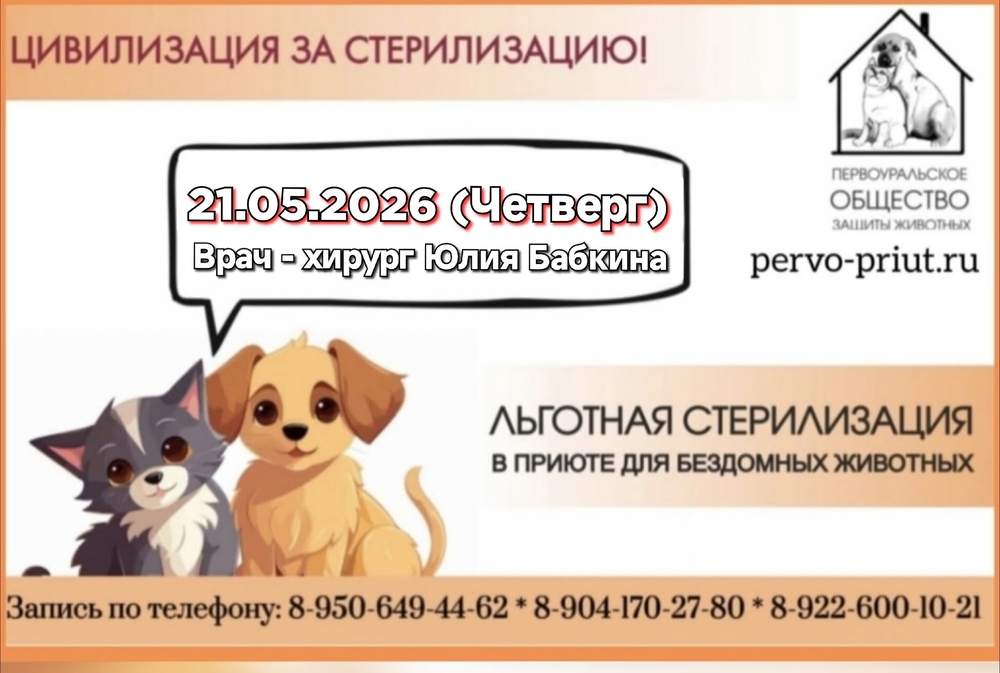 Rv1unMqsWVL3_LVrg7YHtXzHrpyz4q53AblULCmE