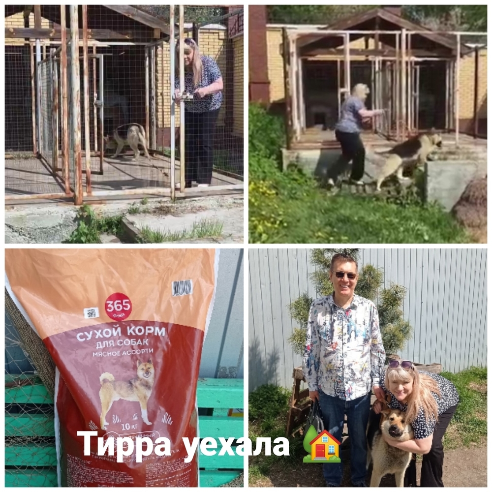 FxQnC0whwGCEPMiww0Jsdiq0c44mEDz-IYNkX4Ph