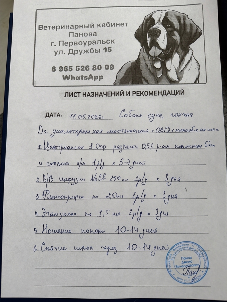 PPk6LteYiKfSRs4MZYt-dn2uWOpCnER302hxogah
