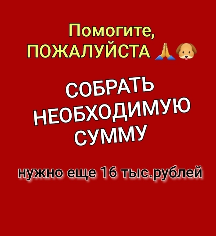 Z5EuJOFOHHv2ughkD2C7v9bpXJOVaSO2dLx22moM