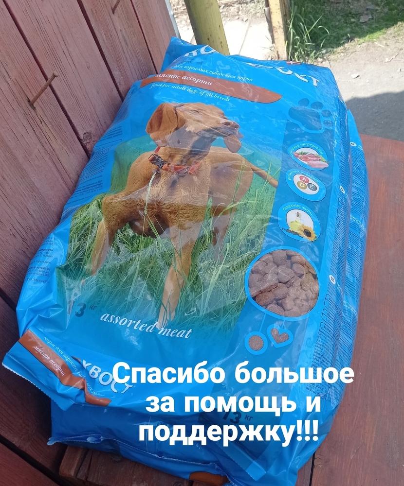 2wDPWOn1ii9JJ4jnzQEV3Mkd321ejE4yb5HGzyVA