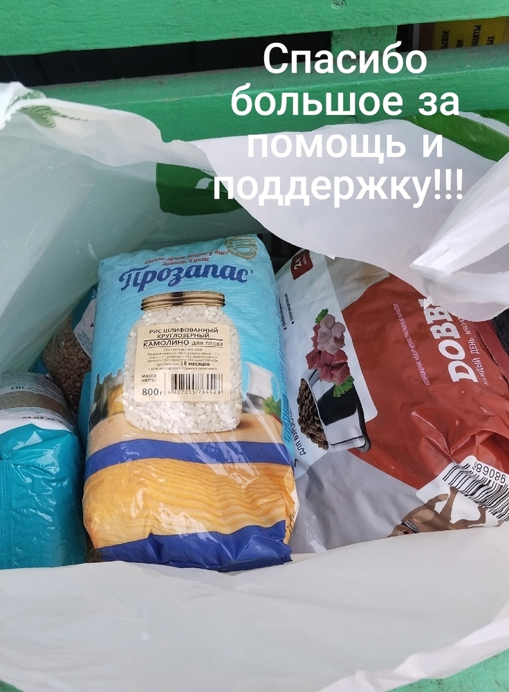 ENVrYKNU379HwzYyXa1c88a4_z3-UA_nJWzmplTU