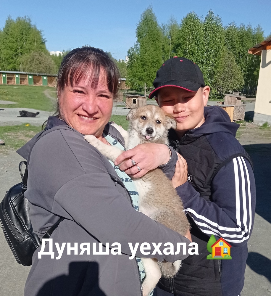 O-RkISKradrjLlui05-YbZkp8AJ4v_GYhOulHFrv