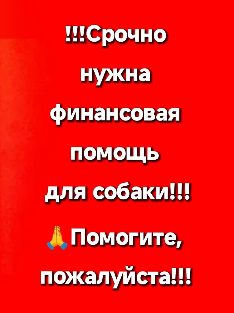 6ZswPOaX54XEdnxp0jTxE9G5Ky6U66Dd880SVDpI