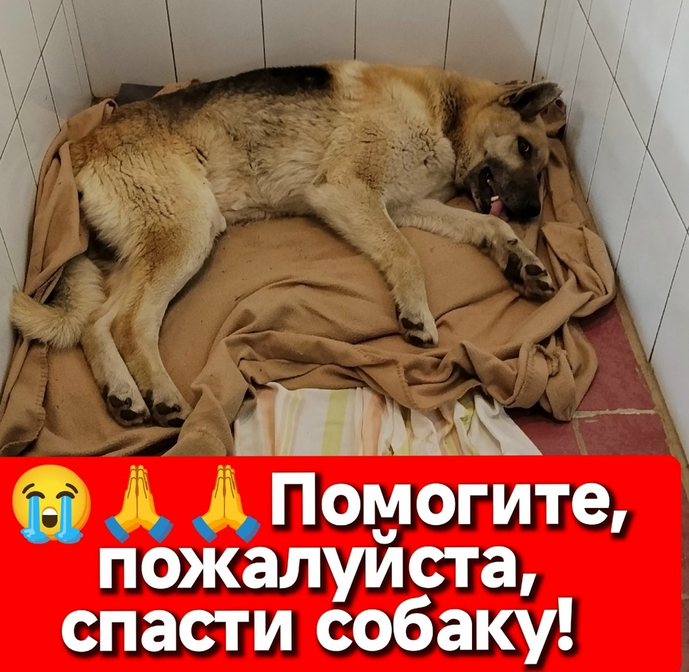feNvVsSOQNHHEbqzIJ7QUGWwEc0nTQ8CwnOPADY9
