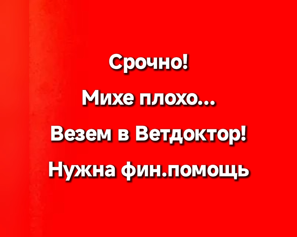 EBxD3vDLGYXU1XebiFaJn_E7buhpBuV-6vgnMIxx
