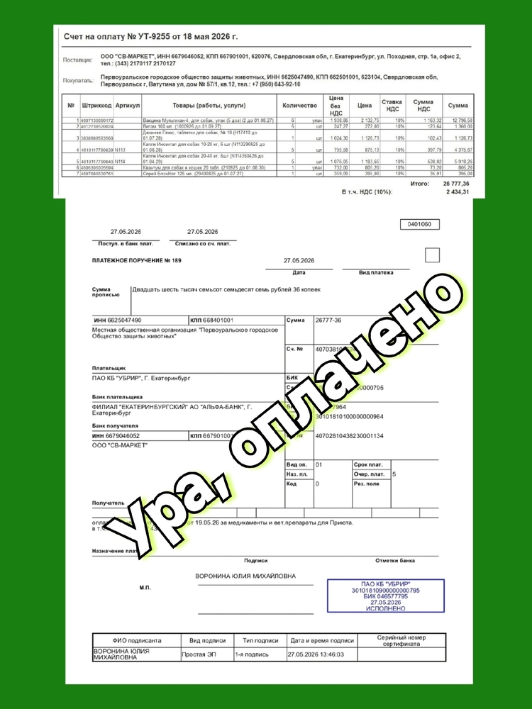h5weU-zX46YORVVbltabC0BvPGizwoz4UjRu1Pia