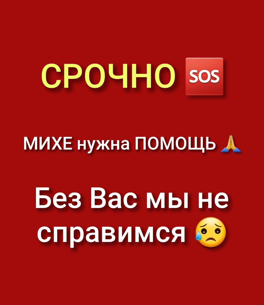 Gfo1Qfms0RnV4NXCrZqgVlnyiAly3EvlrQOgwy8G