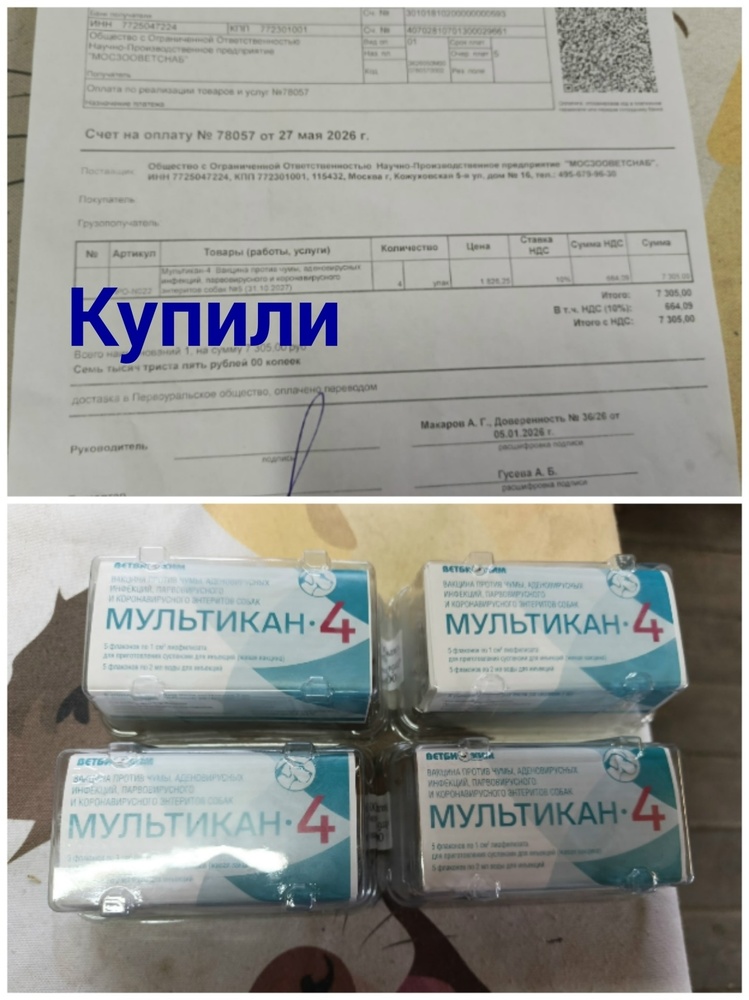 Mgyq6CifOjlQ-eZVrX-3PFj0HJFHfmtZMdYpvdKF