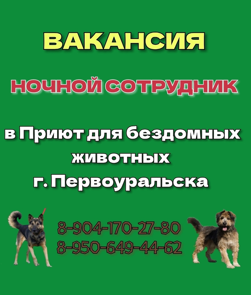 pH72HXIEhlTtTtiWGqdFMVA5FG_5A24KRjrWPr8Y