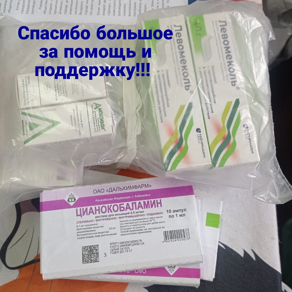 7sj9h1a0-57E8M6lLM0yBqZXX3-Y9Zt-7hlvWSH5