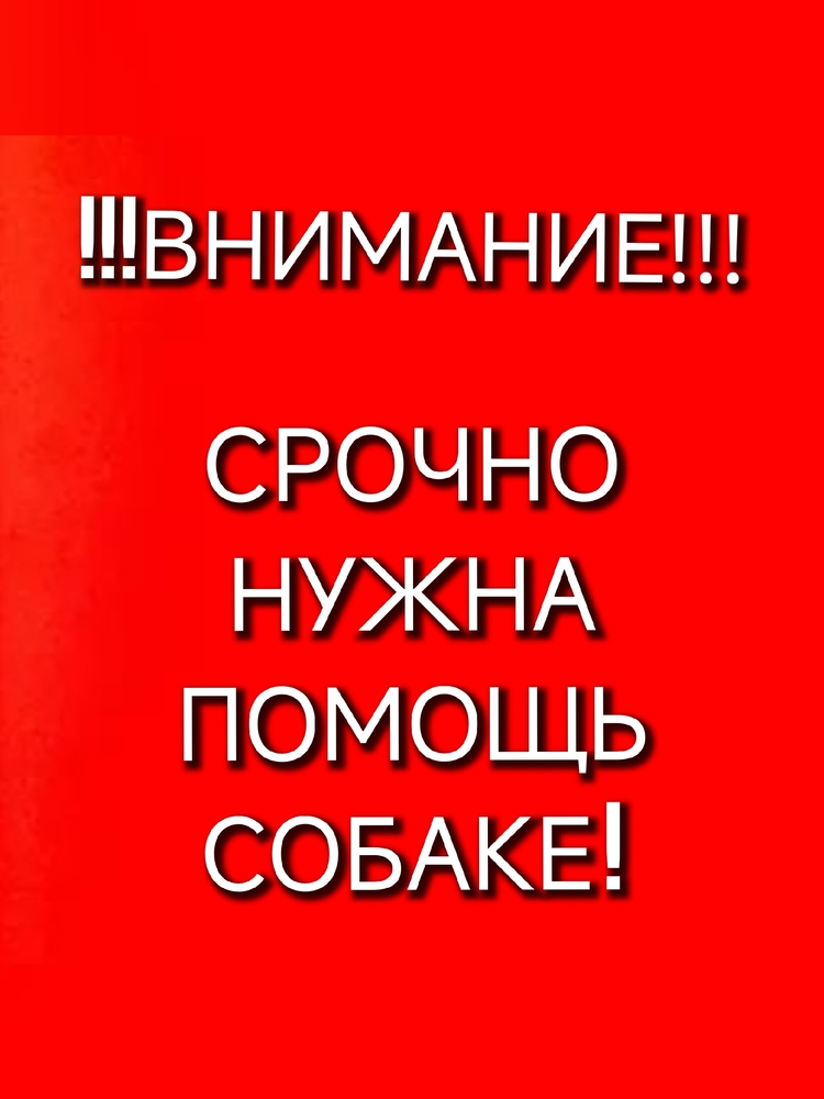 YNvOFv9ryDdSG73mgRM4ZoXfITb_h-YiTLTQUJCi