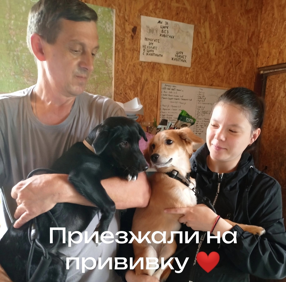 SiIou6jiYyPvLTOtDzcVMqkyGh8N1mZvyK63y-Um