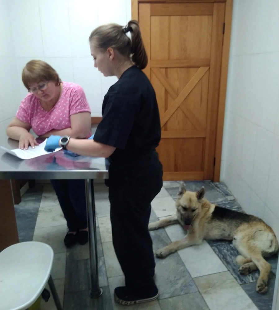 YeRKXS2bkqpfM6z2RI5Uu-qvzamB6rd5o041lgg0