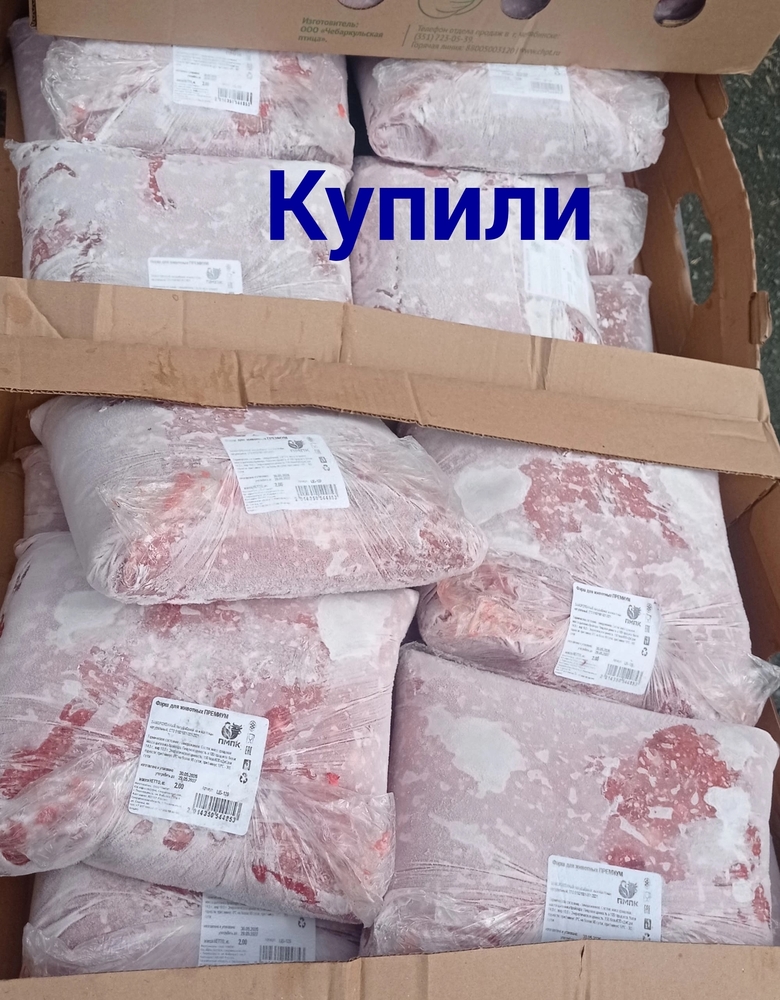 DV9-PMOKaznoXYibT_VDd5rweYE90aitB1kyFvEk