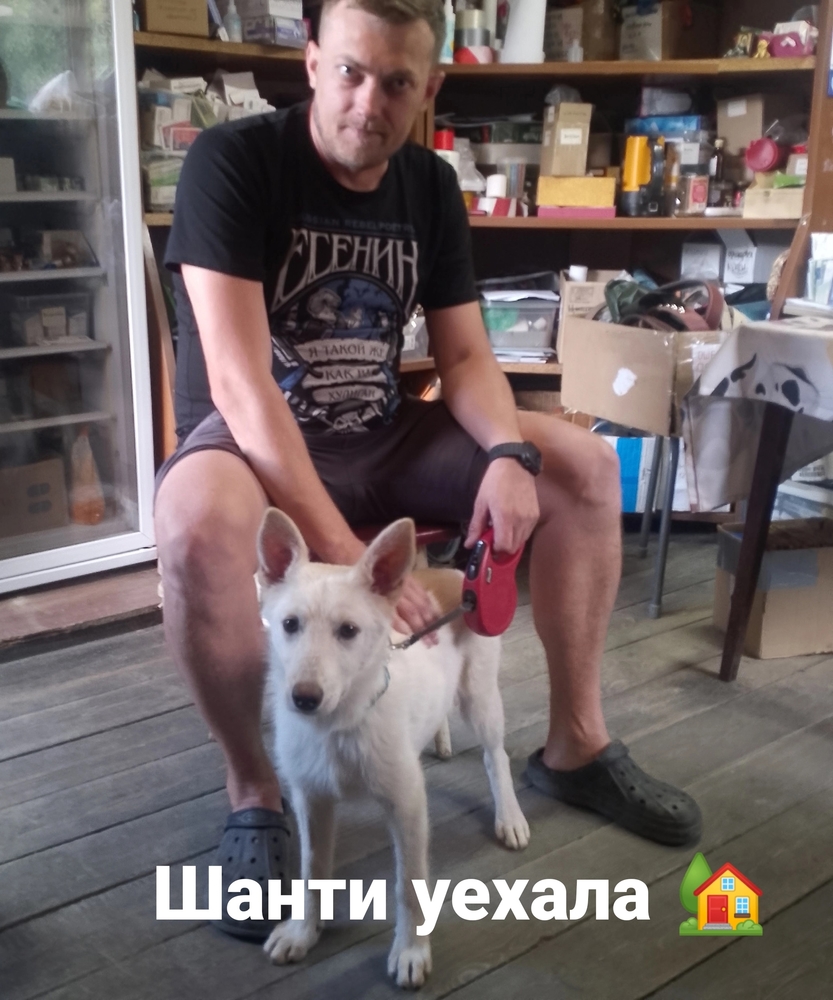 lpTO05QyzKtaX9zfesnGeYltiZXEYpzBZVhukPdT