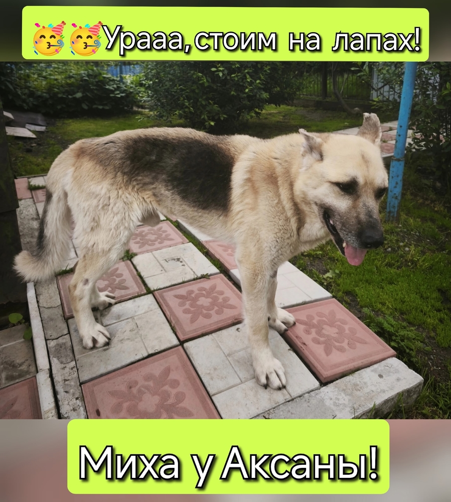 b2cUxBRJimH6OJiYNbUN83Iop79R5_MLpEjqyVLw