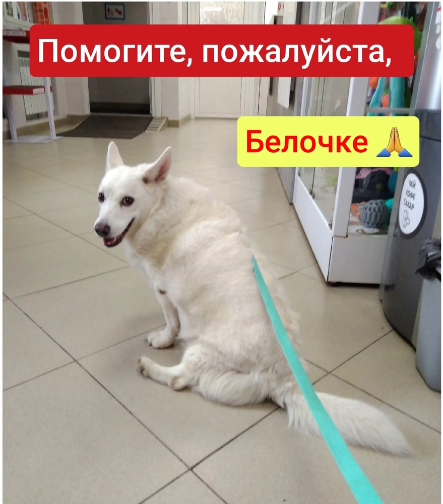 _4t4aFzjkFGDKGlYDt3gAHLsP0GYCRDrZcDMGU2X