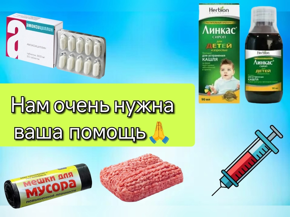 -ER83Fxd9D7aZT2W6mteAuuN86NWkLIhXW6TIDCT