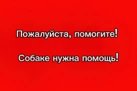 wbK7KkN6vZ3-v8tyJCSsSvMhBXOCJu6yWBvTEJiU