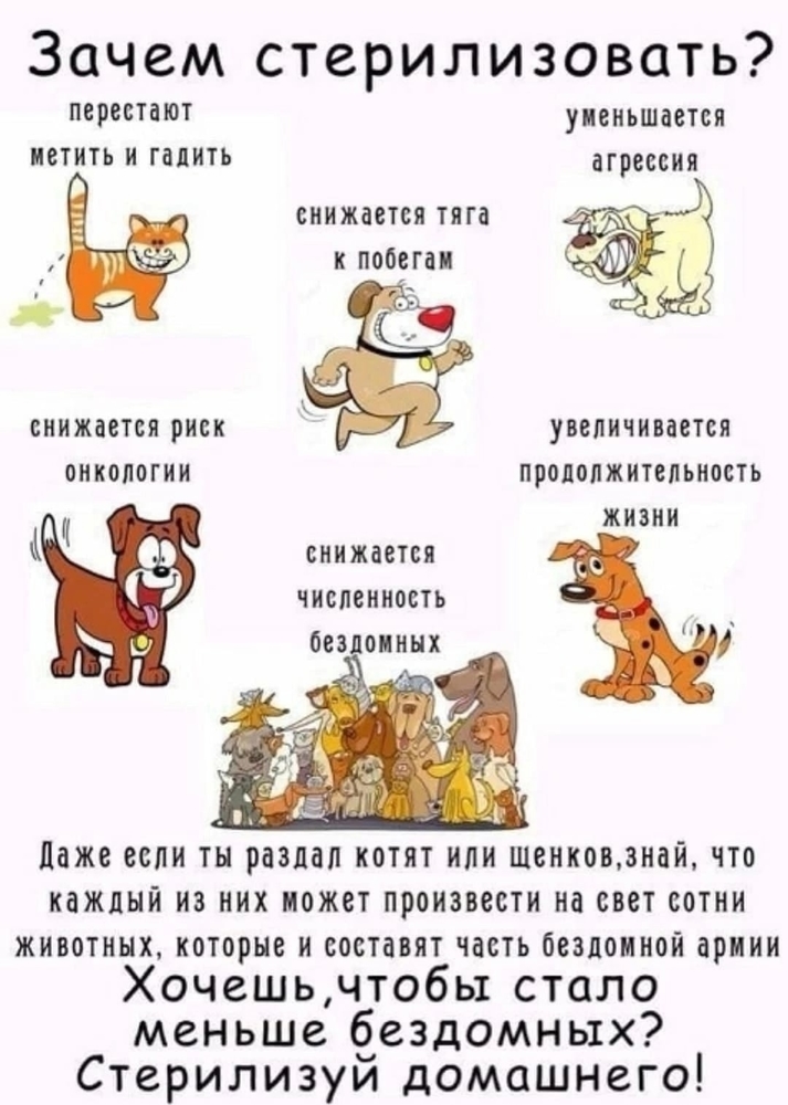 QN0QQ7tmqn-jLpMHmIupfv6oUZvzm3eHCR97t0fi
