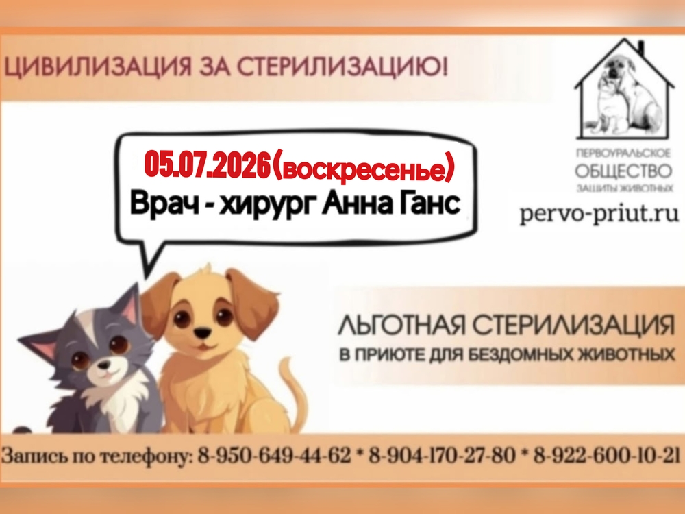 28ftpN_9lOuKM60_BDwES99ztZk7GgHEEY3LpA69