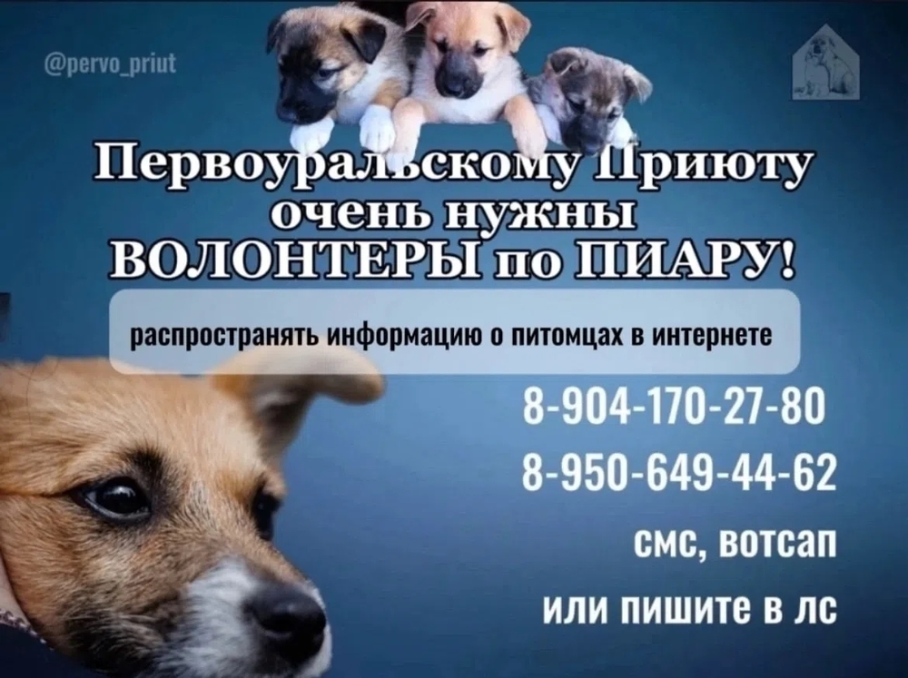 U-SX4uOblaPqD0avCWuQSMw3ORs08vpKUwNhEuz7