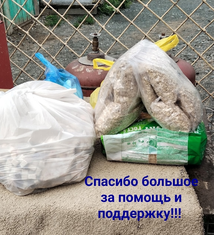 OMPn15oEiDmGFCaHLOAdgO3yYMMj9VSpEw__XomY