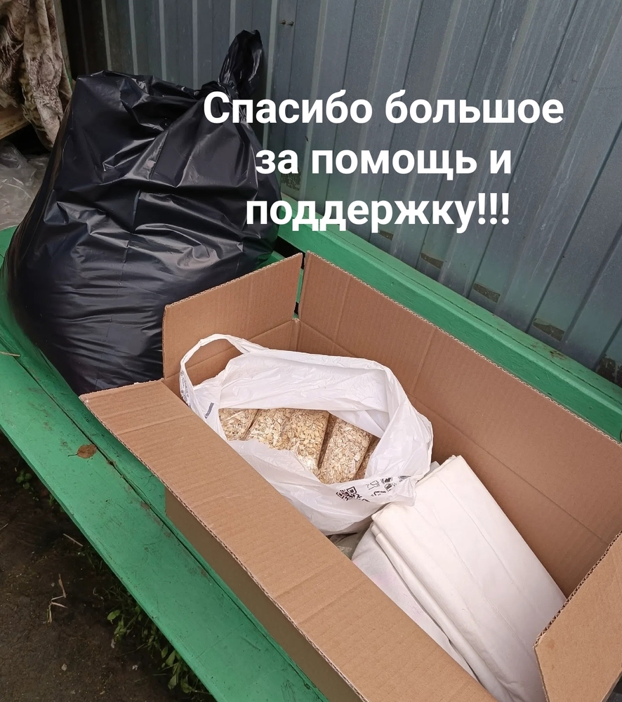 FJ2166aYZ7J15U4-HppT0IorCOVfjAlKiabFYyyy