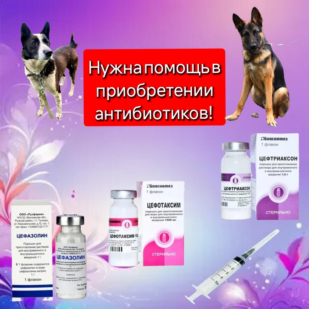 1_jgJh5HHRiN_fhBgcFnhjAj-itZ9tYWRa0Eg8aI
