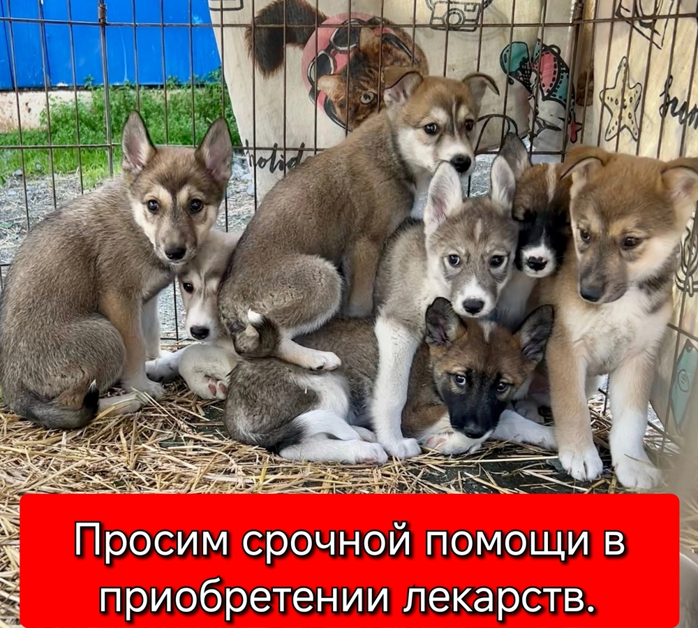 hCy-AuHymk8hLn2VNKSk9OkDsEu51P4nGB0ZIeDX