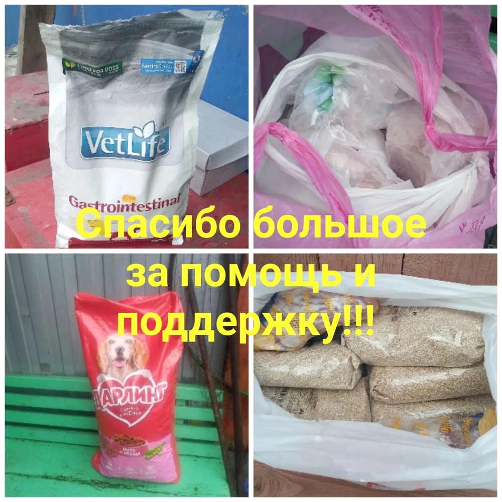 StqmEcbgSiJW6X7iHpIWu9BEZG6b6F40H-D2SeDi