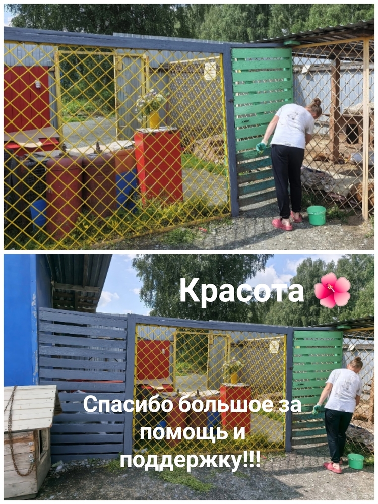 SFnsDVTieuI38RJPZDf0kevxxYxbsRZE09vXEL7i