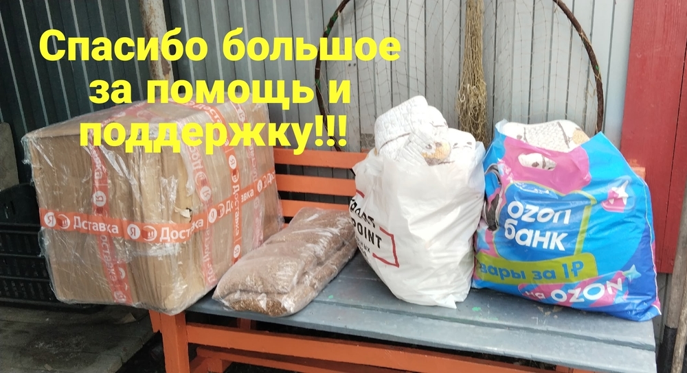 7_cH-dKzKvRTzoDEMHS9m875WXVu9EjQtucrcoJA
