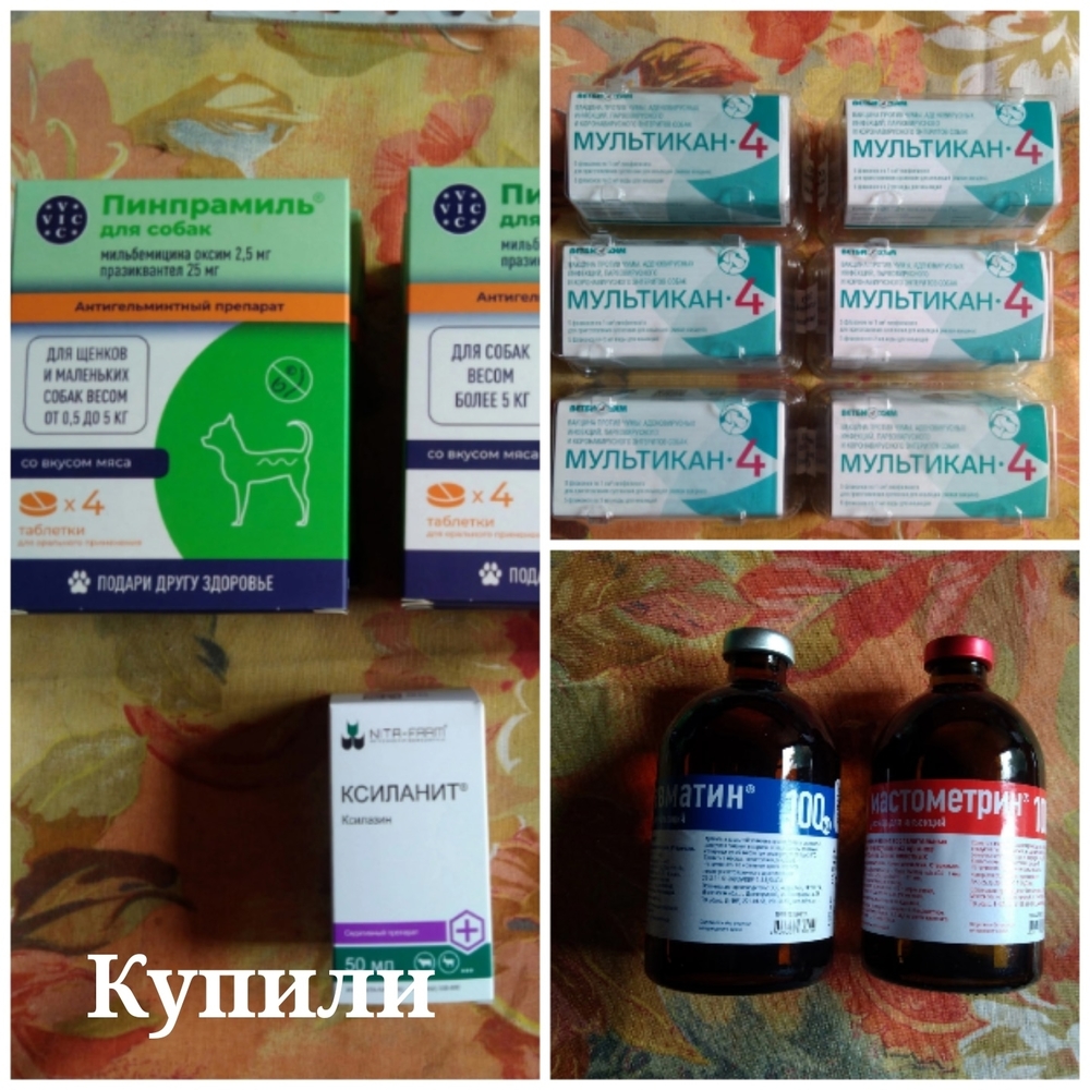 ko8X-Ho-MGQTCnmvBe4B2gBI3Ht8AWnAYQ3RUmPX