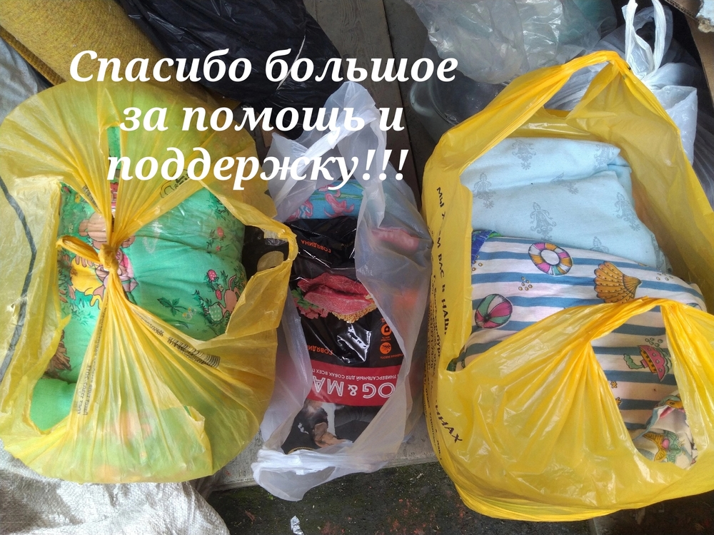 ypDt284P_BEcS81ktLs9Po_Zc1KA5fmFZvdCCQLR