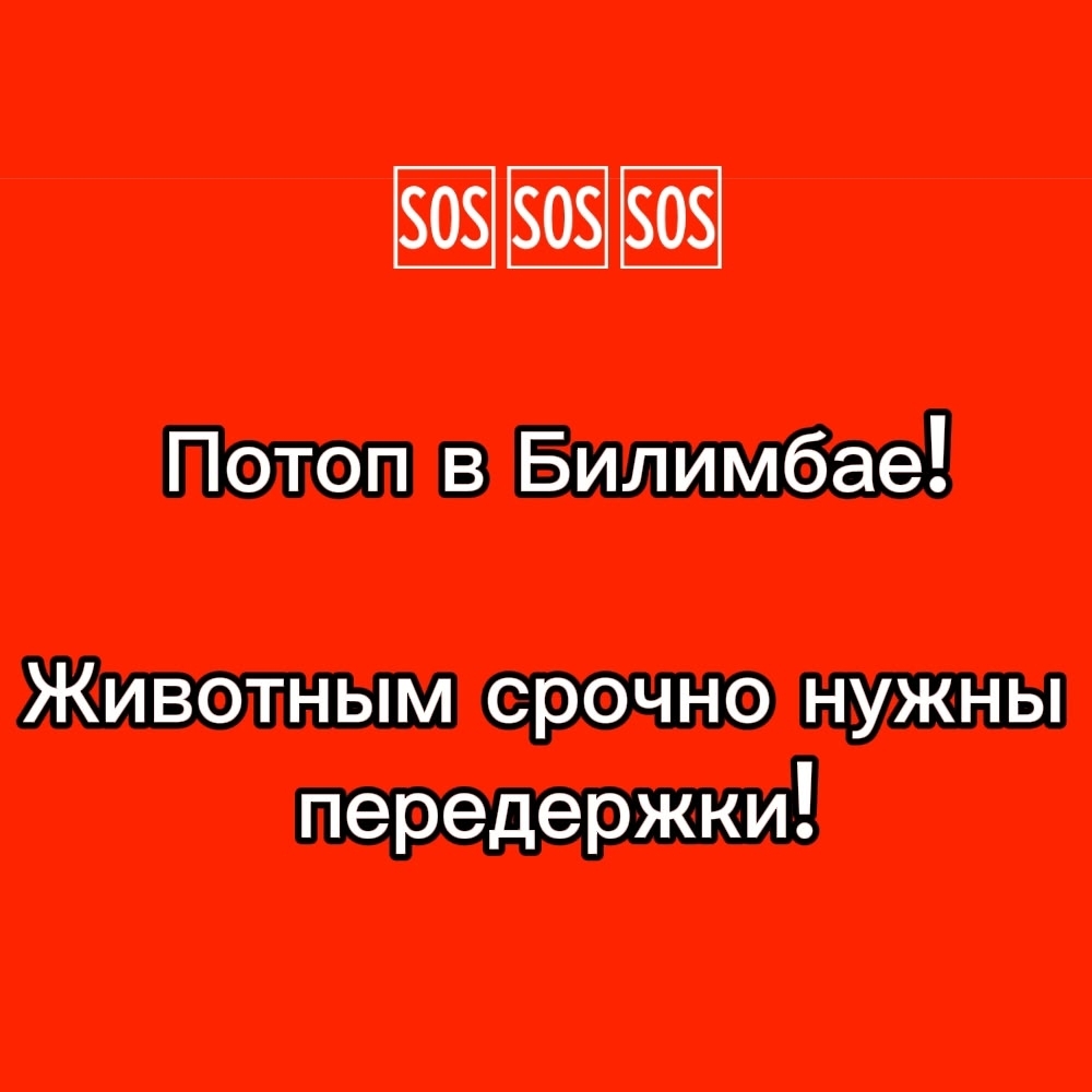 tZclHgwzvEY1AicXacyU28vhcWTpDTuamBL6mmvb