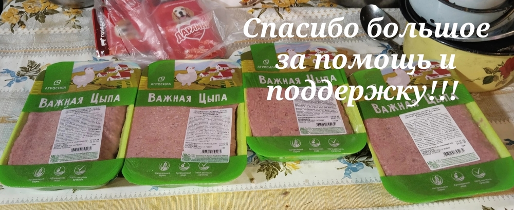 _J4CytjIL1_6afRlYEiOB4pkLQvtAk7pRbpqUS3J