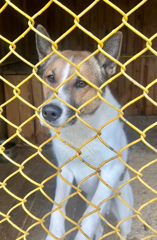 Xk3eRFXUFqVhEYBMxXzRDccKAMQoR0FByNnOmK6Q