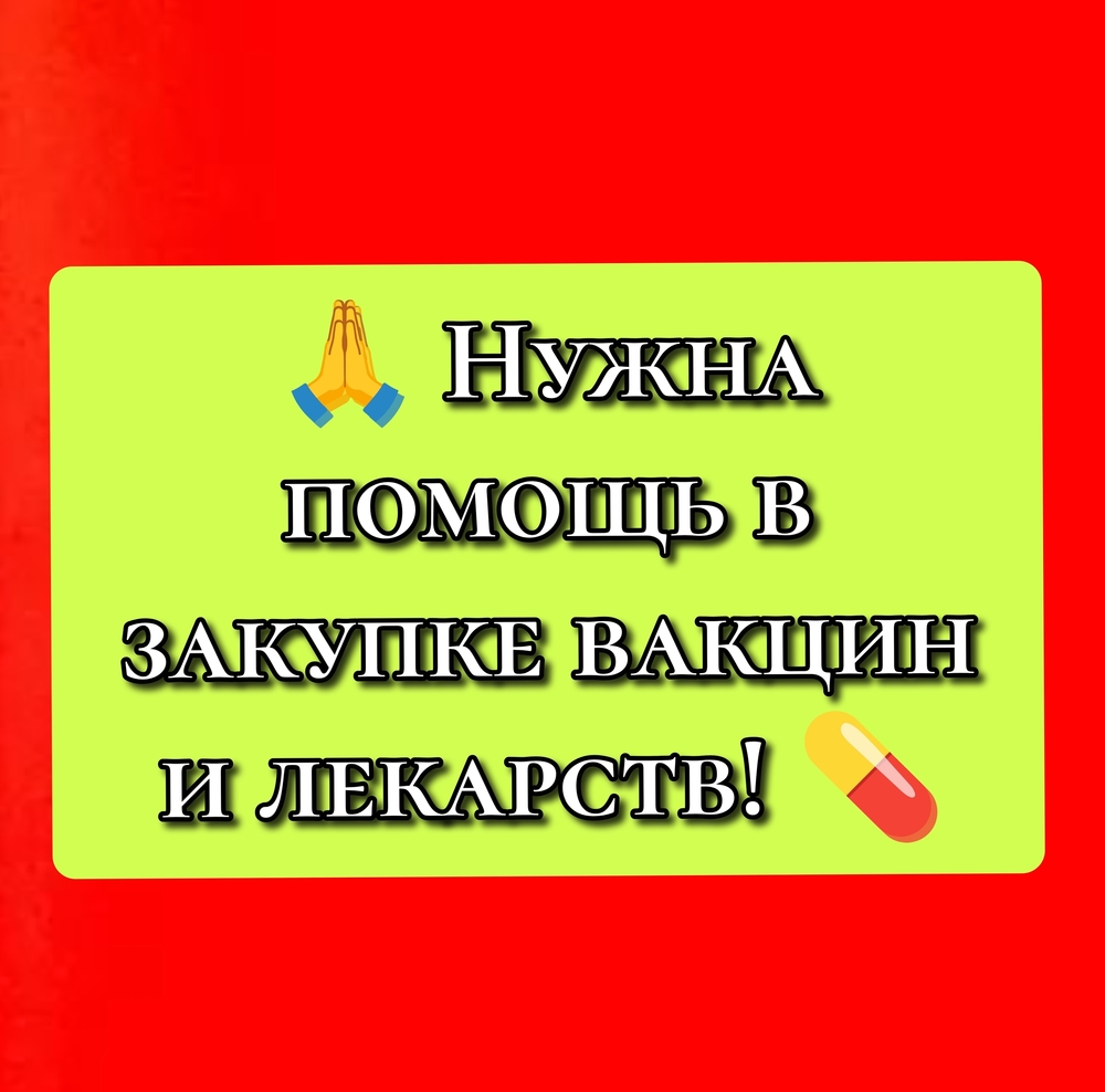 JJ8EzeRY8EMe1RLC-UsYmEHBVKoYdchKhTdkYjN_