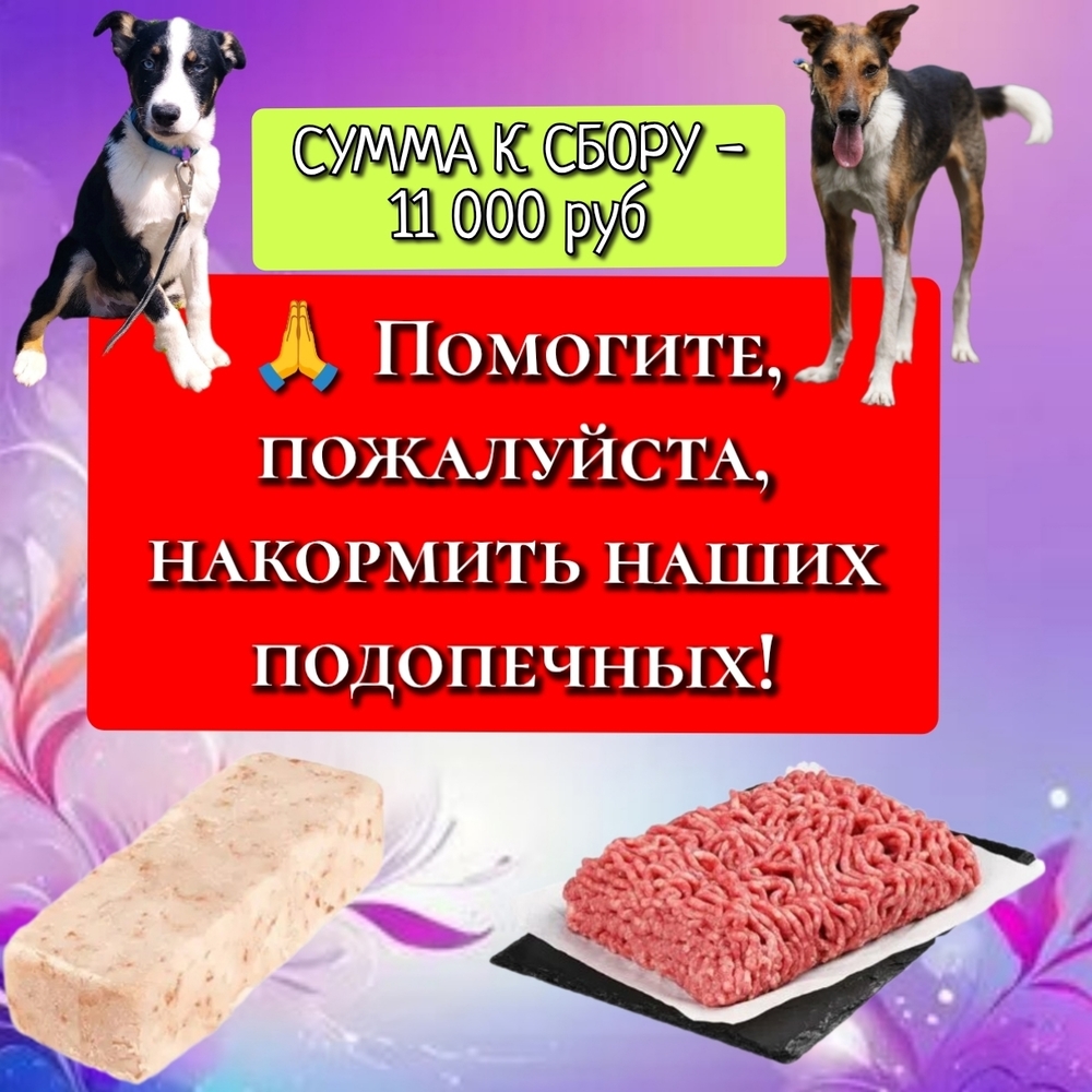 2dUN-fOsnve07lVArCQjw-Ml4kK8wntjHQBRVWHB