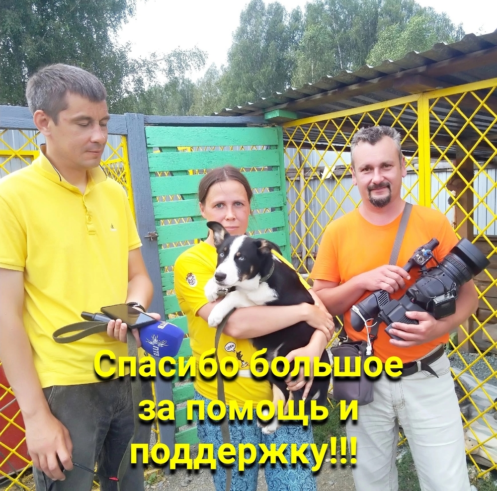 _RXC3Sy_IJvEzyZN7Vvj9IbfRzTuXu1Bd7vx1xBA