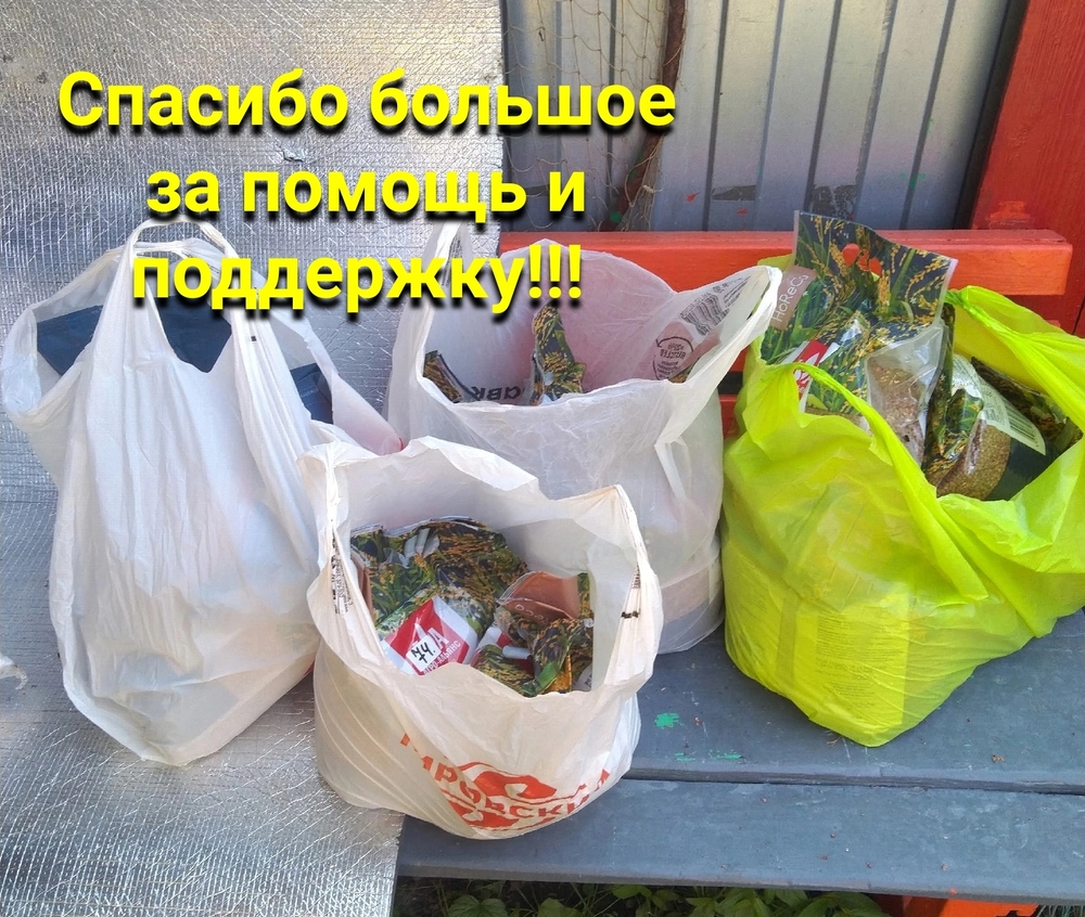 5sJwkJ6D_L5TZPByKBjpm-cY31DVs5LEOb4HX0WO