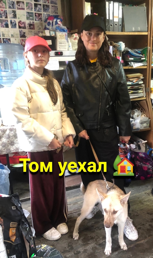 EDMug110DTGOz2Iker0vnmqXcif240CvHc0ocucN