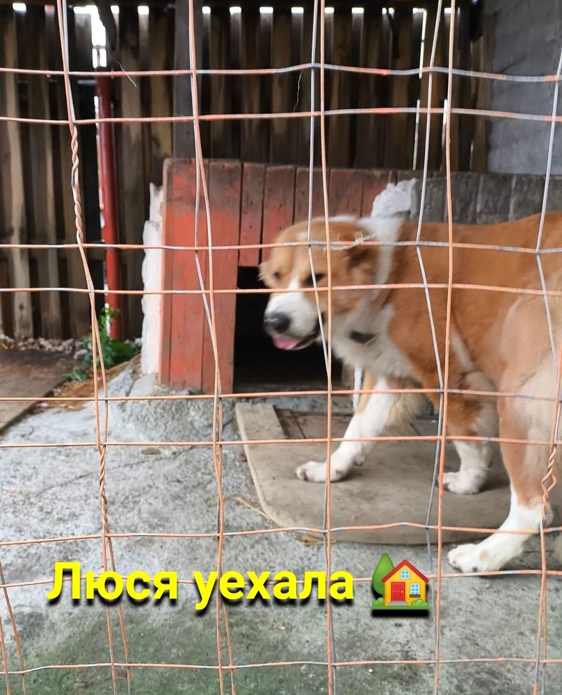 m5sfkslRoSINaJ8YJiHOaXBIUalXZ4Z63w6ZLhE0