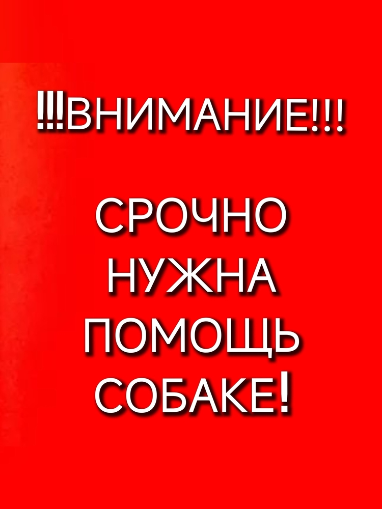 NWtUmgKNhJ1eZOXGNXnEsC33XVyfg2A8KbsMiTlE