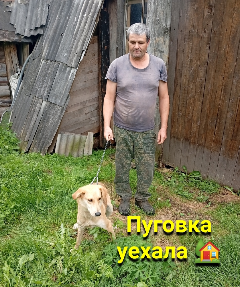 bwsjiOX17x8KIx8R9BowXXVQi6z1jlqKAPYGl716