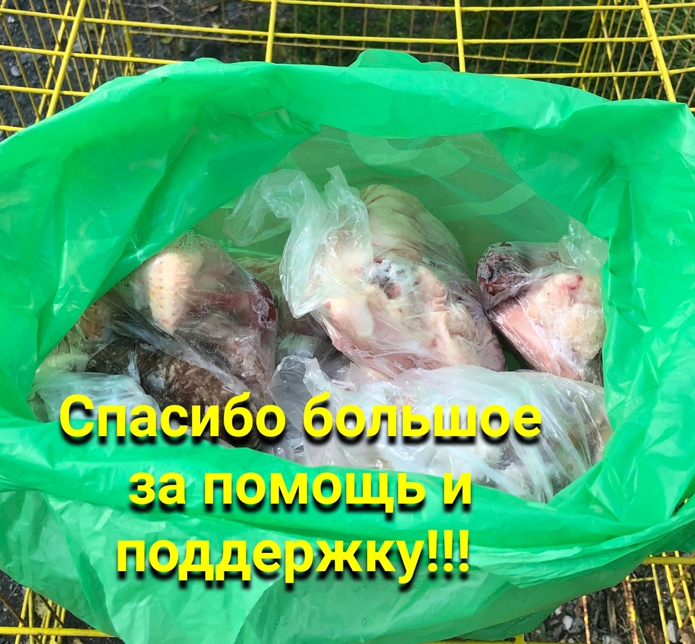 8nFdD3qyKKln3suHxN9JGoKQIV4Kfx9WVpNfu5F6